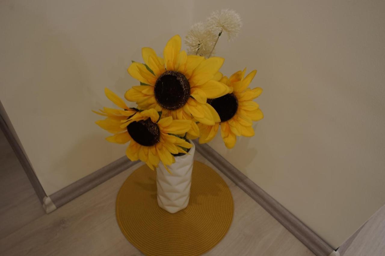 Csengő Vendégház Kiskoros Extérieur photo